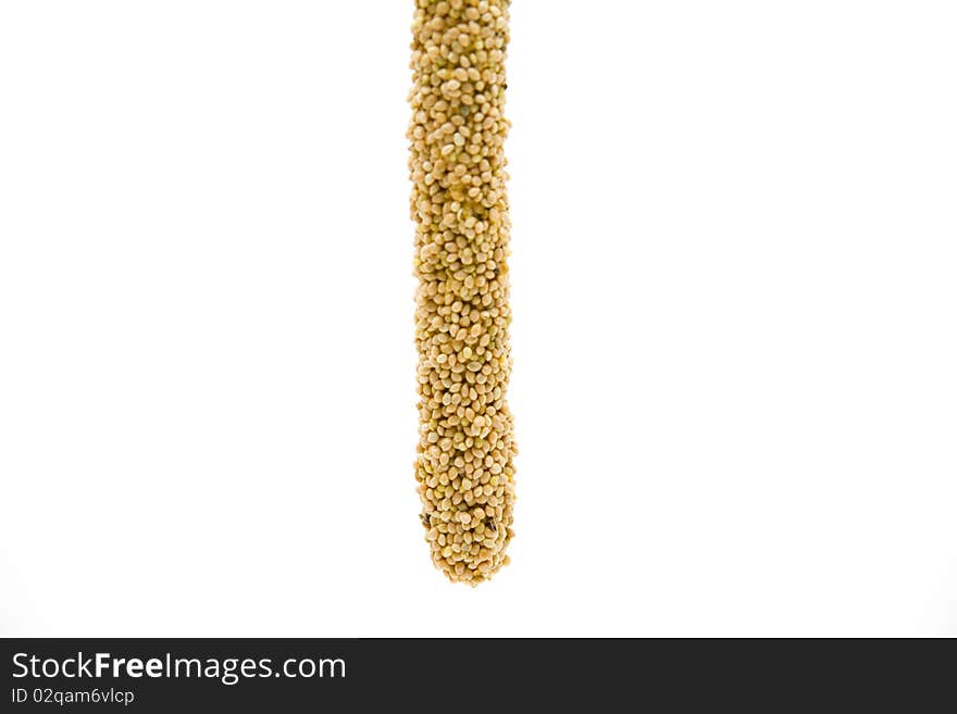 Millet