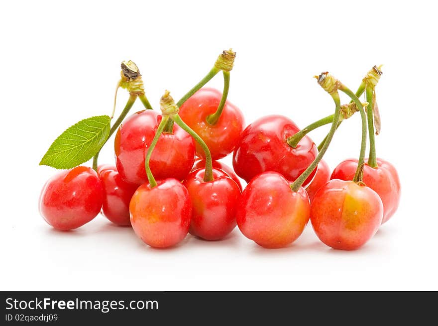 Very fresh cherries isolated on white background