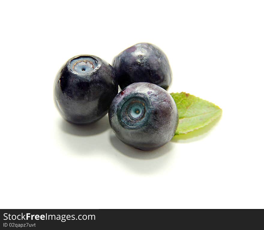 Blueberries with green leaves on white background