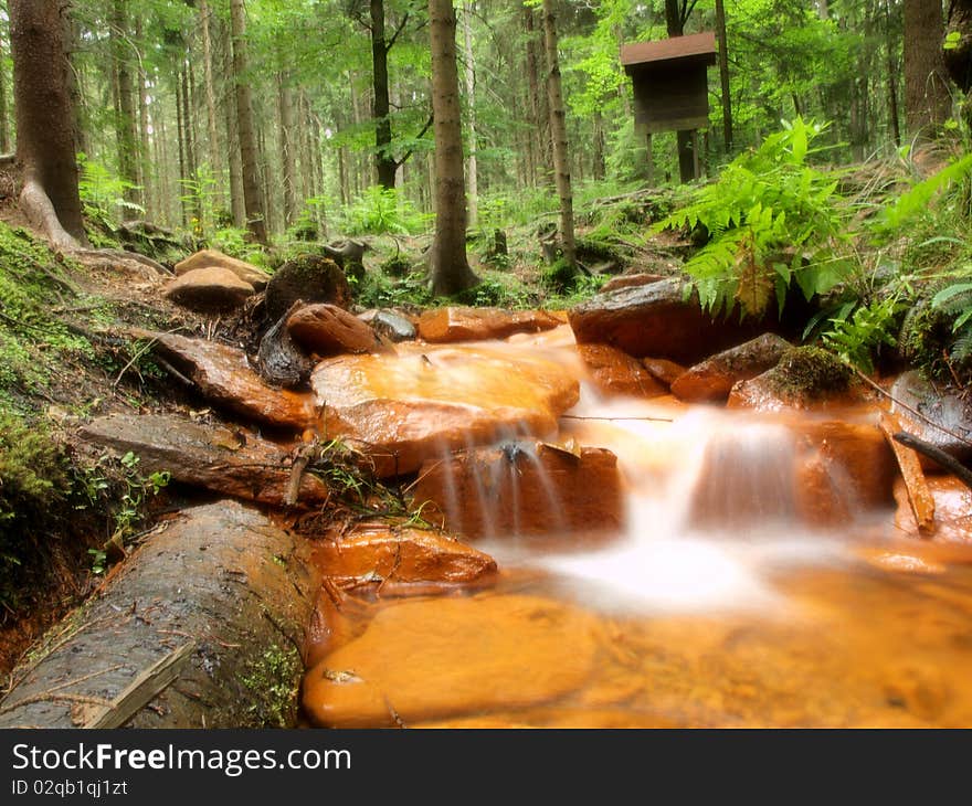 Sulphur stream in forest, long exposition time. Sulphur stream in forest, long exposition time