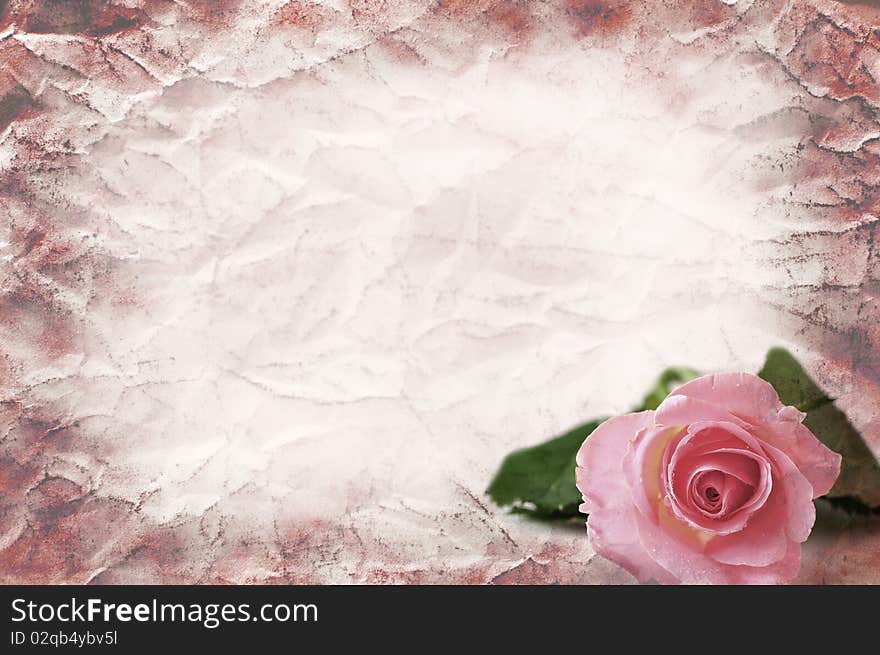 texture of the crushed paper with a rose