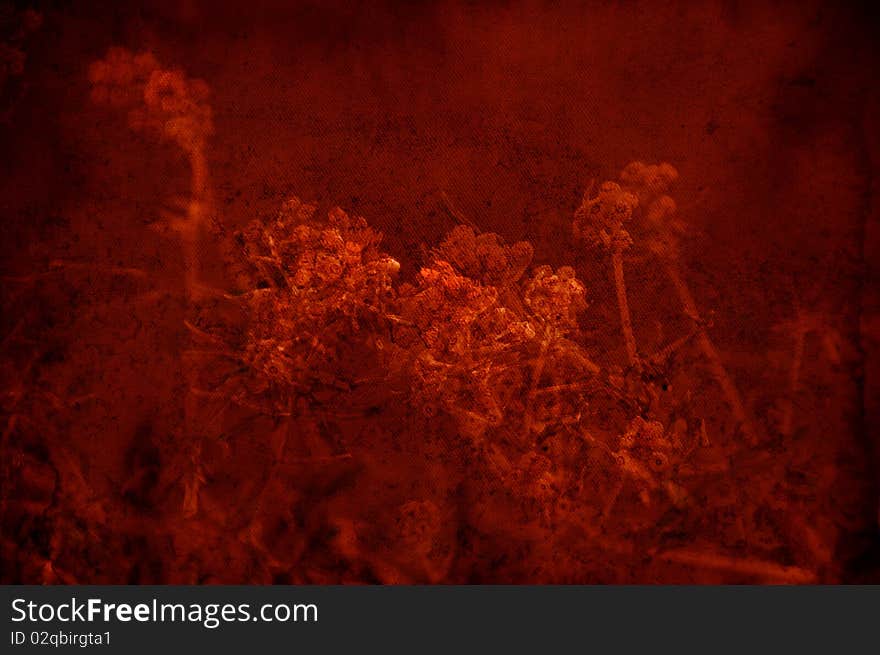 Textured red background with flowers