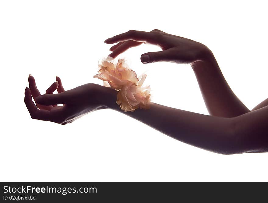 Hands of a woman touching an orange silk flower. Hands of a woman touching an orange silk flower