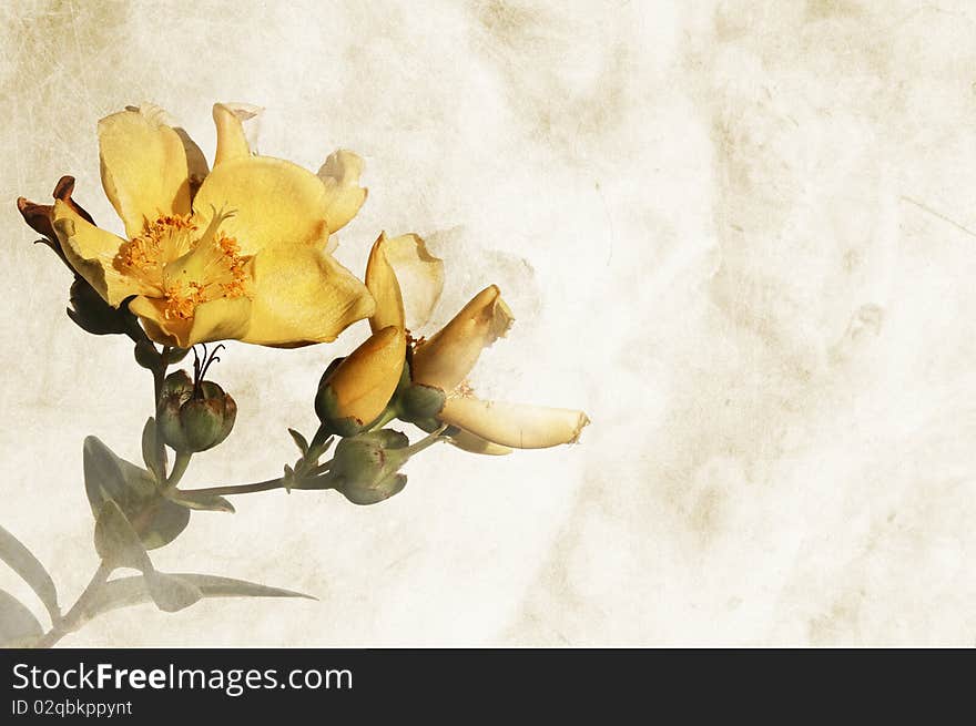 Textured background with flowers - space for text