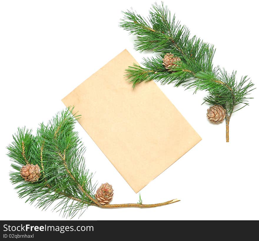 Brown envelope for letters with pine branch isolate on white