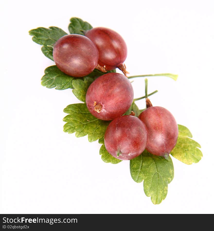 Red gooseberries on a leaf on white background