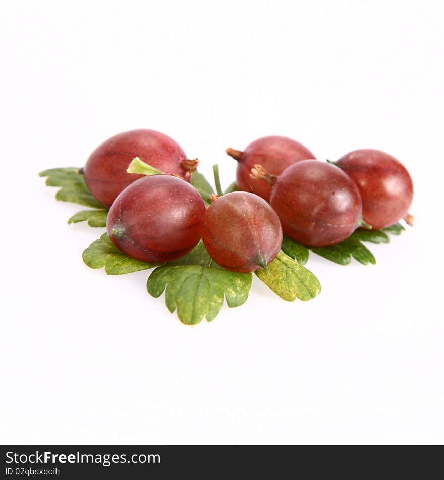 Red gooseberries