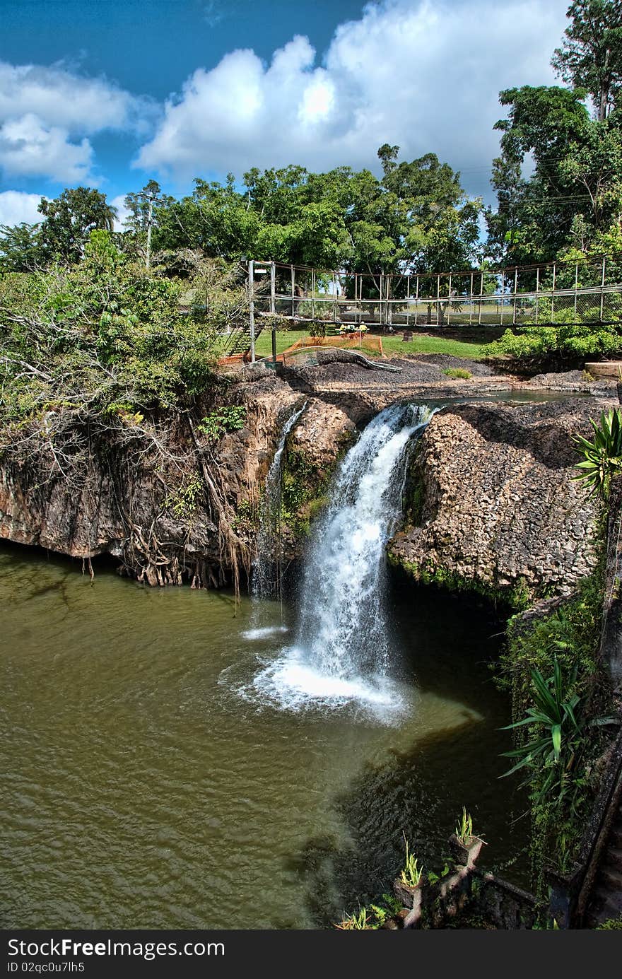 Paronella Park Vegetation in Queensland, Australia. Paronella Park Vegetation in Queensland, Australia