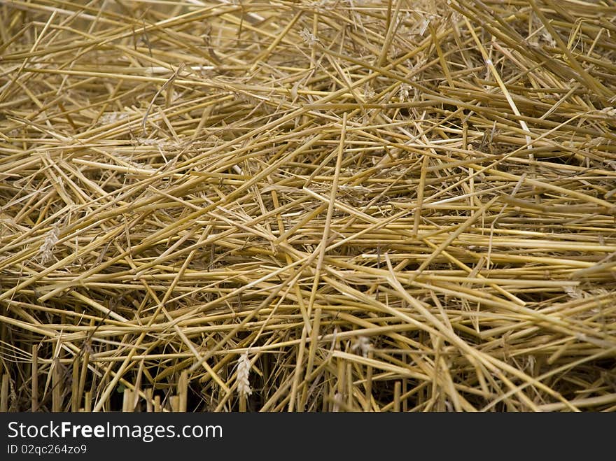 Straw Background