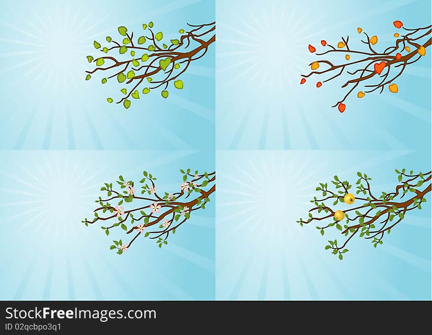 The branches of the tree in different seasons. The branches of the tree in different seasons