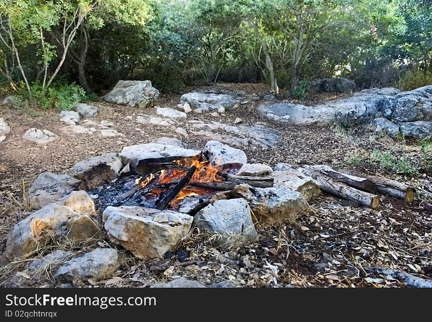 Bonfire in a Mediterranean forest