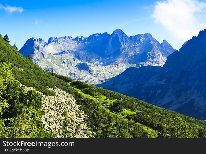 Tatra in summer with green forest, Slovakia