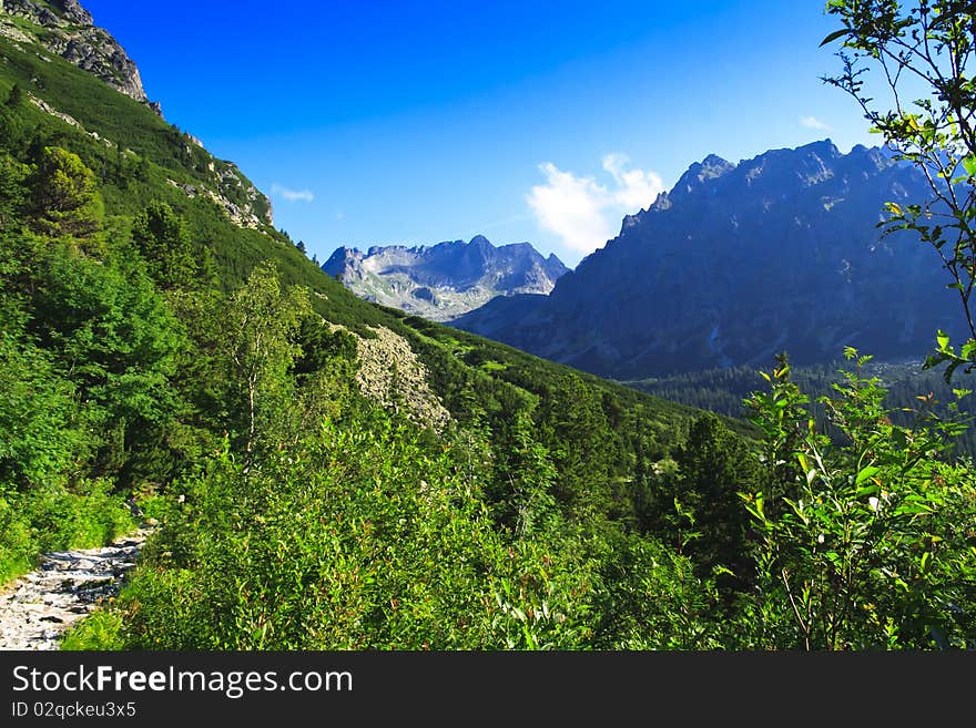 Tatra in summer with green forest, Slovakia