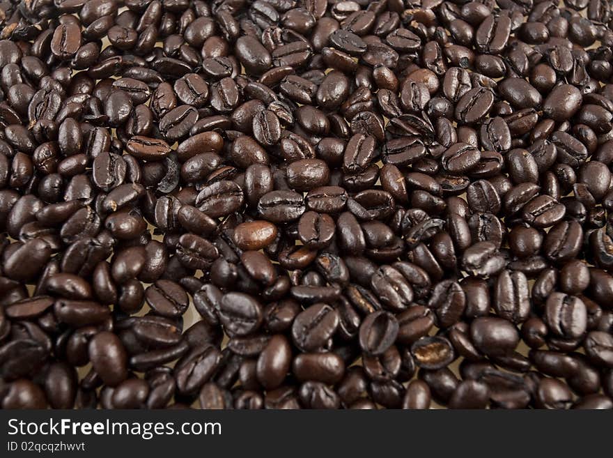 Coffee Beans