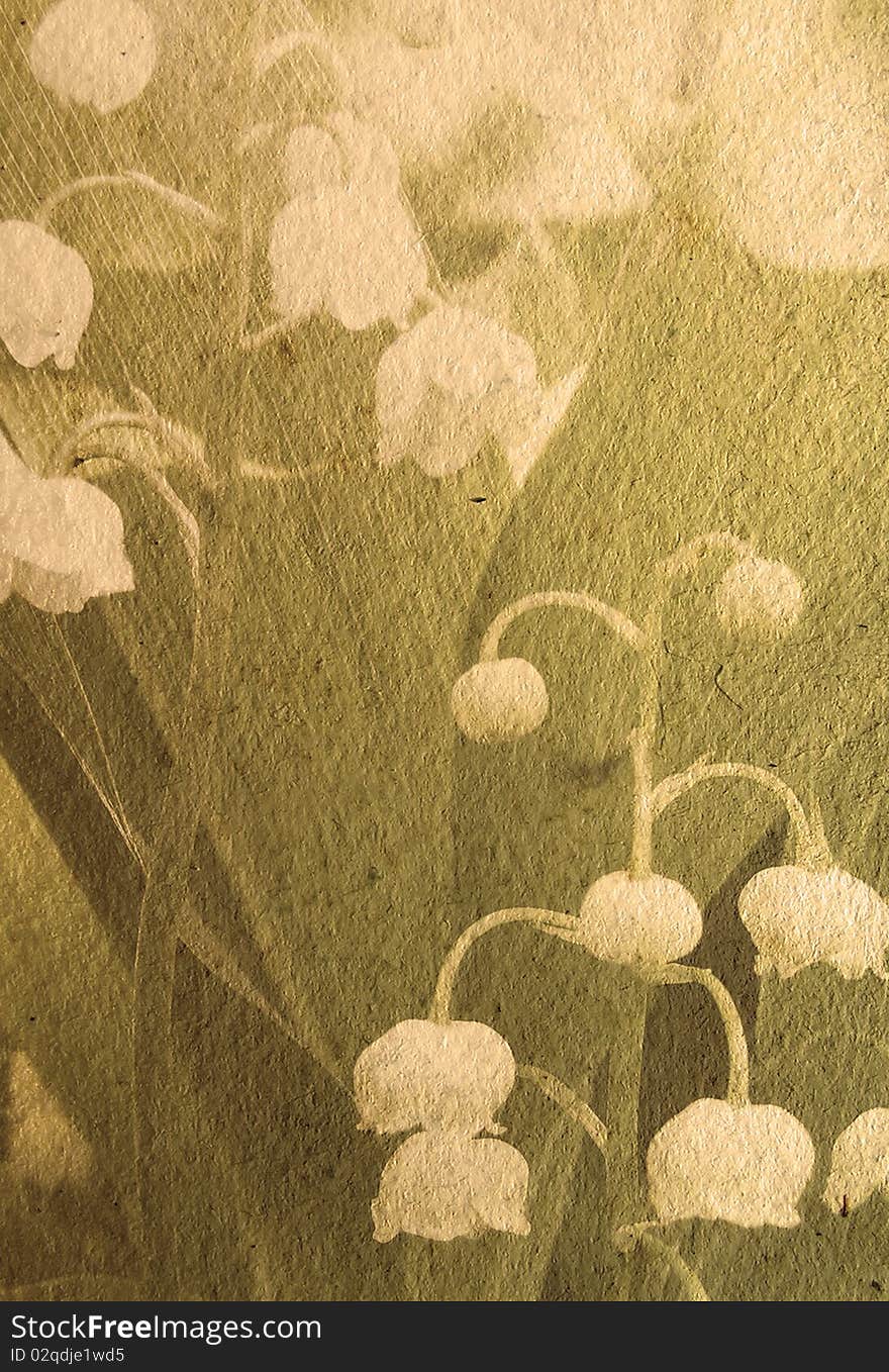 The texture of old paper with a flower lily of the valley - design retro background