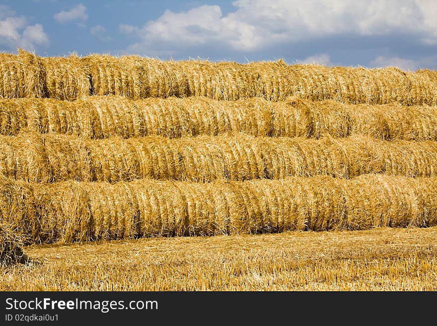 Harvest(cleaning) of cereals