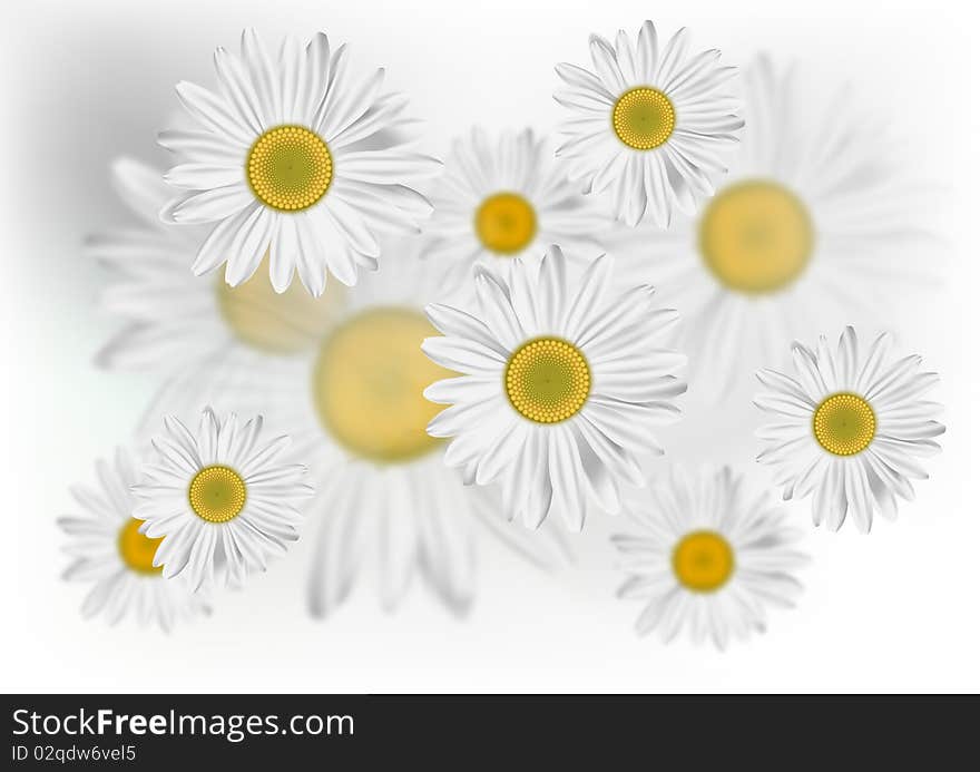 Background with summer painted daisies. Background with summer painted daisies