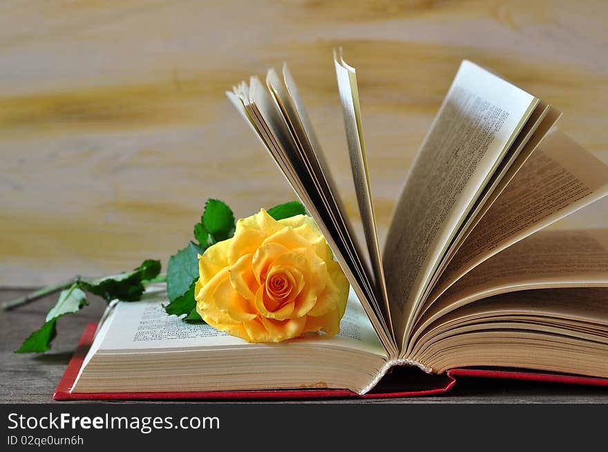 The exposed book lies on a table, a yellow rose lies between the pages of book. The exposed book lies on a table, a yellow rose lies between the pages of book