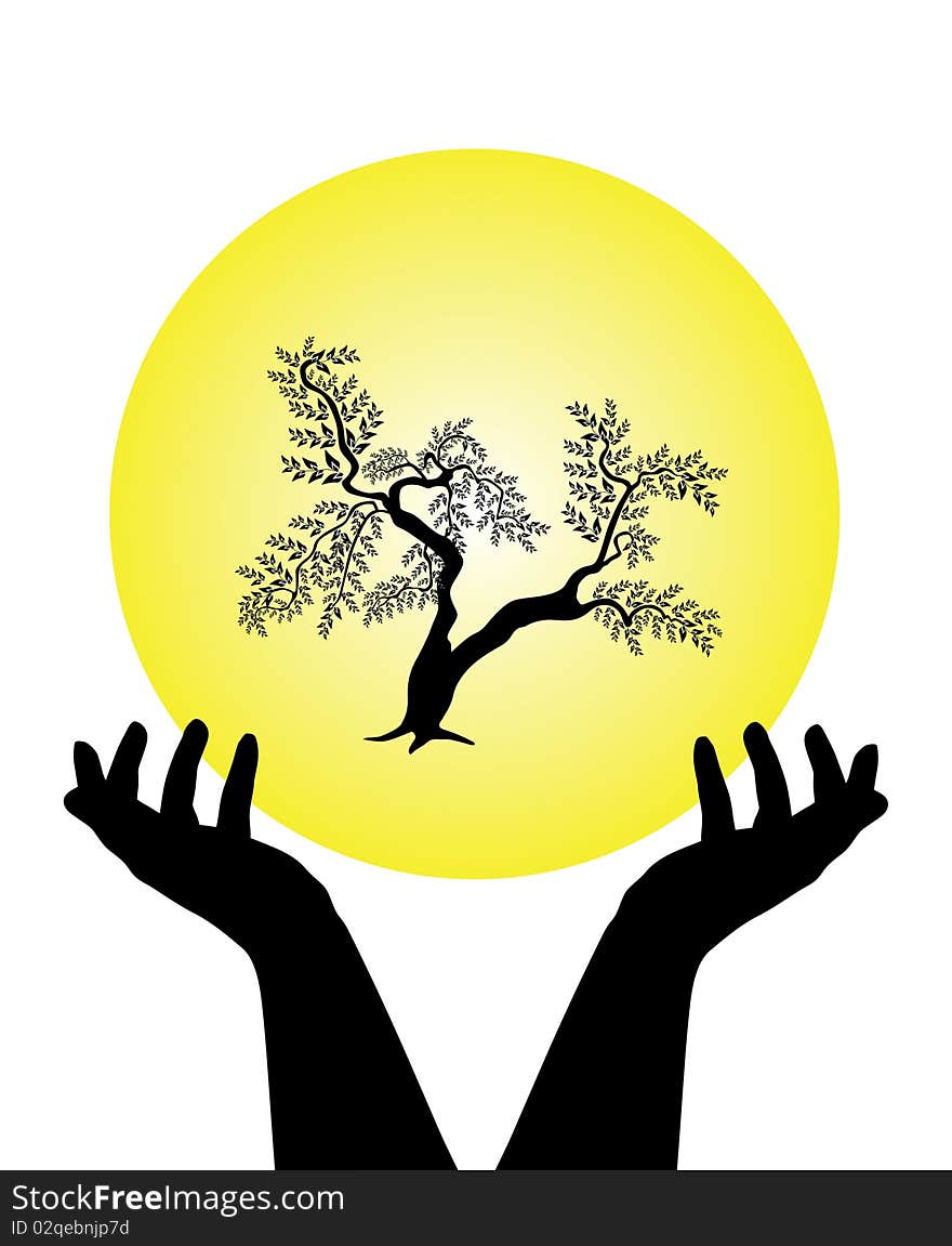 Human hands caring tree, symbol of nature