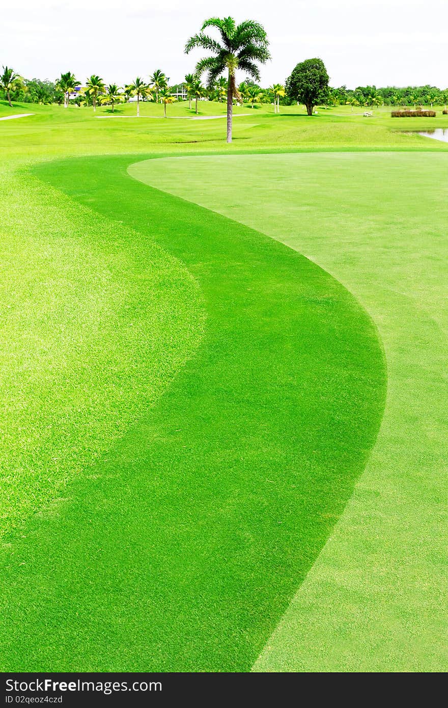 Green golf course