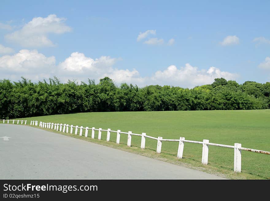 Park's lawns and trees and road. Park's lawns and trees and road