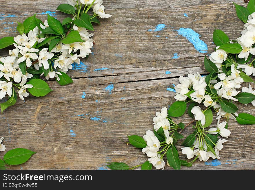 Flowering branches on a wooden background