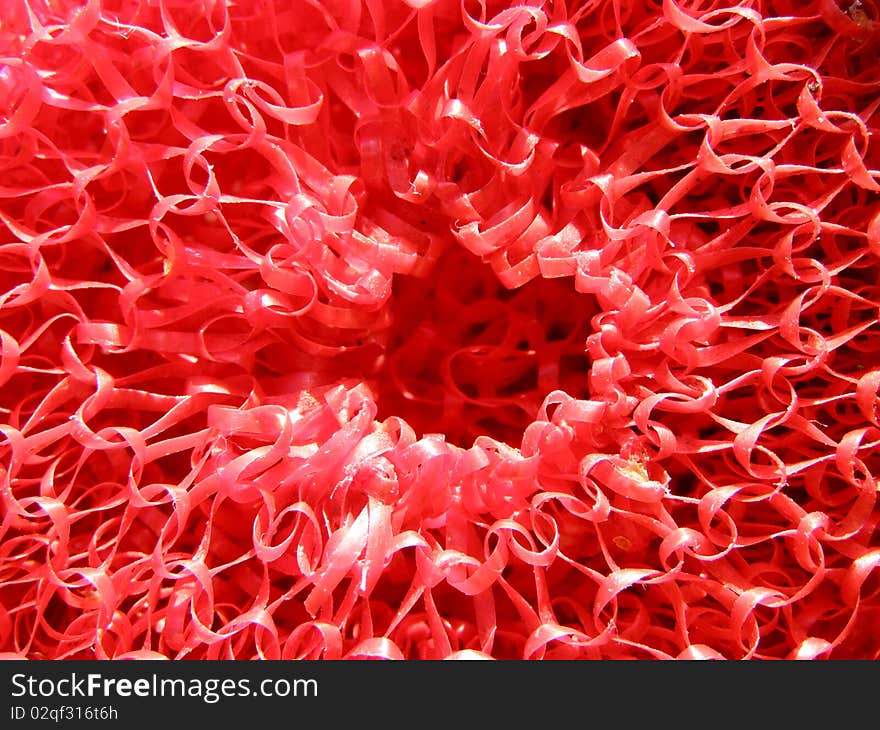 Red Sponge