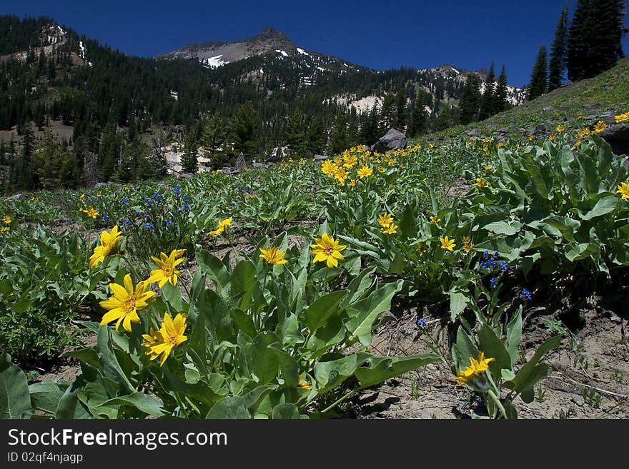 Lassen Volcanic National Park