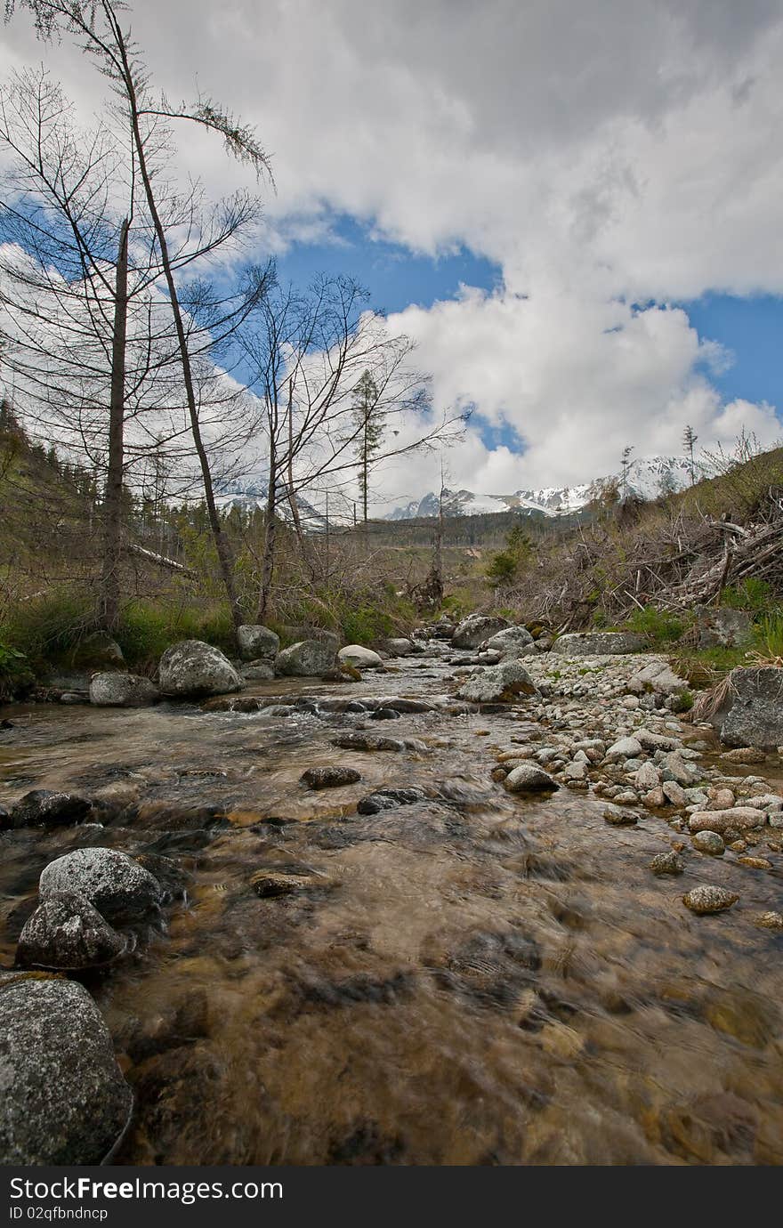 Lovely alpine scenery with motion blurred mountain stream