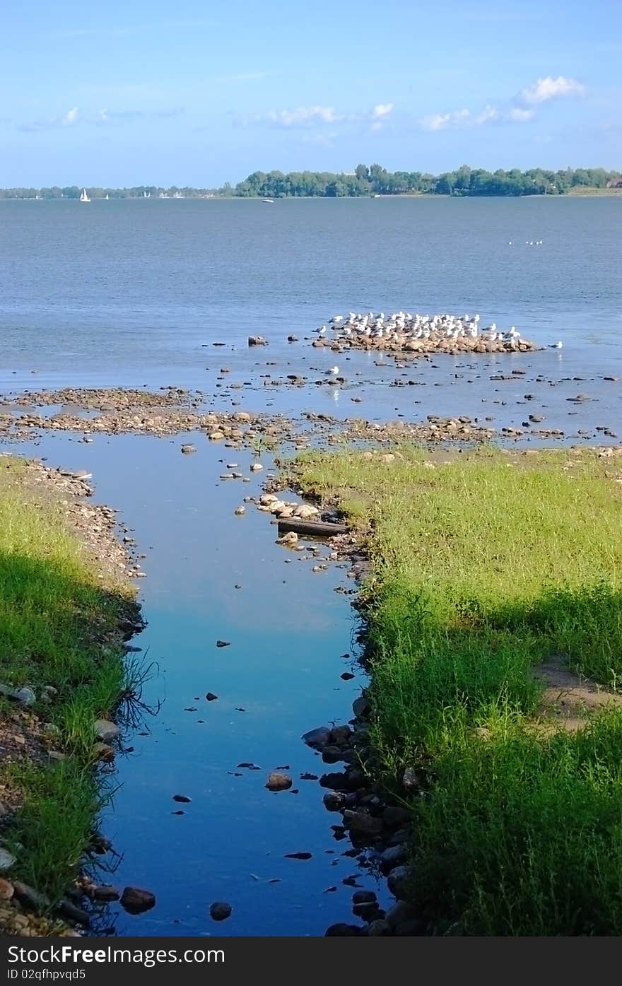 Brook entrance from the lake with seagulls, stones, and blue sky. Brook entrance from the lake with seagulls, stones, and blue sky