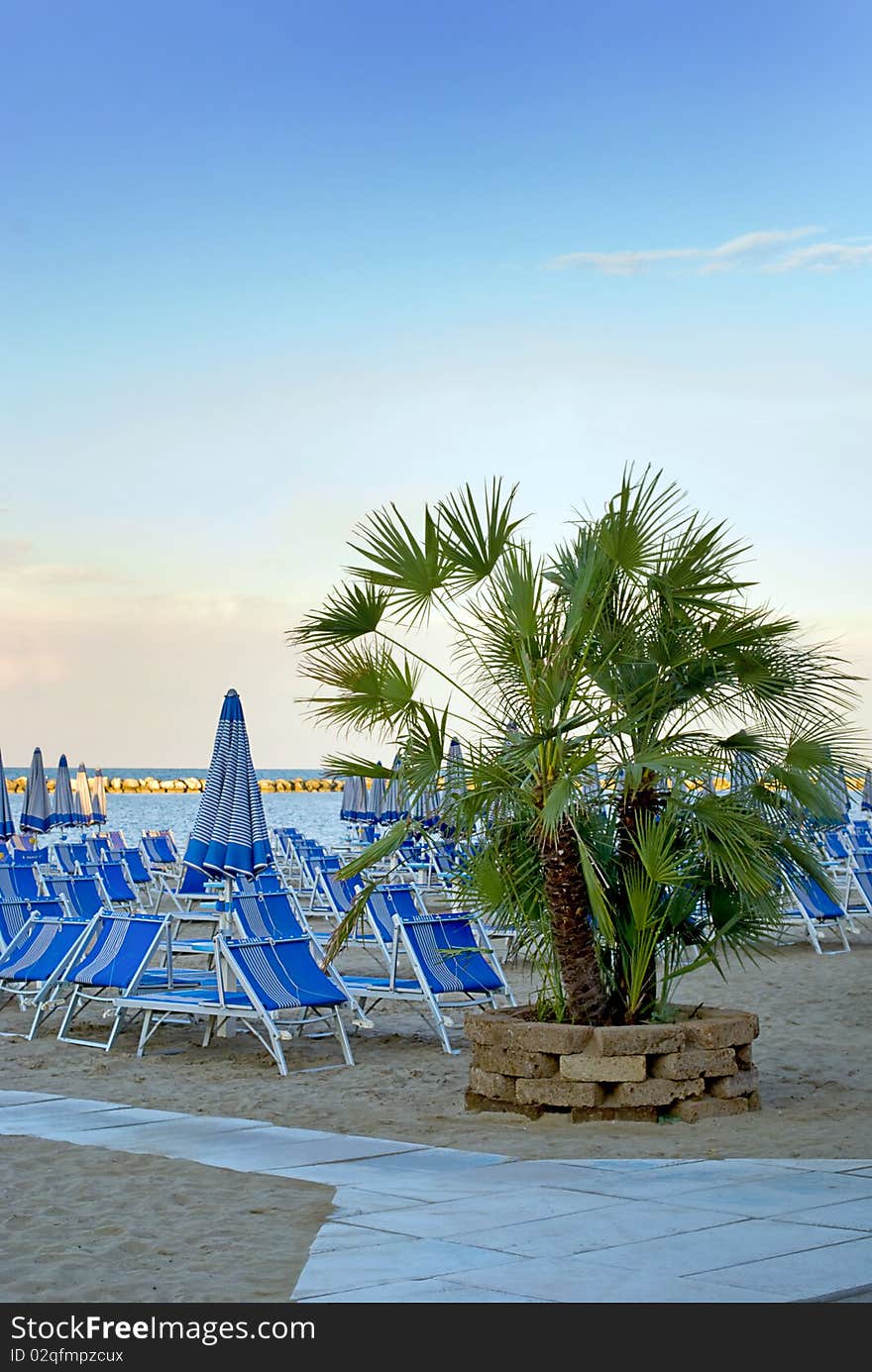 Palm tree with sunloungers and sea in the background. Palm tree with sunloungers and sea in the background.