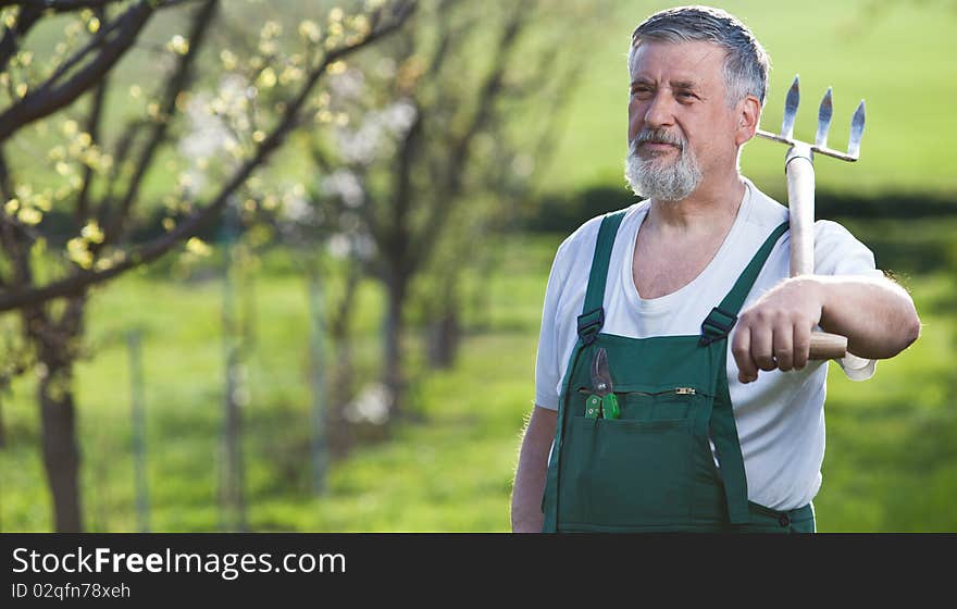 Man gardening in his garden