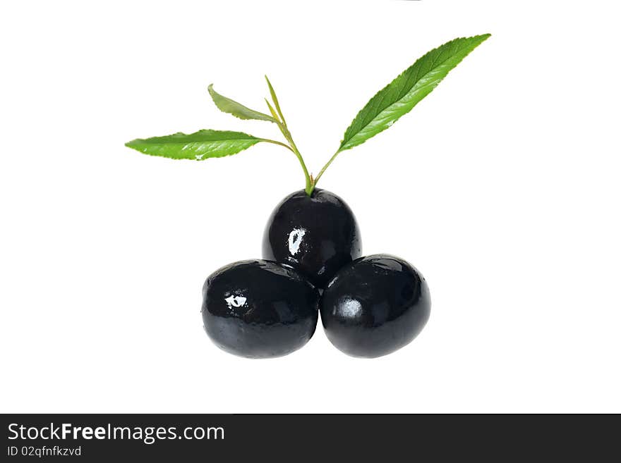 Black Olives