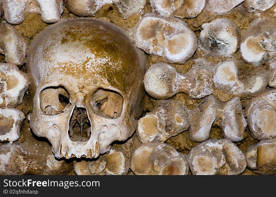 Real human skull on a bone wall