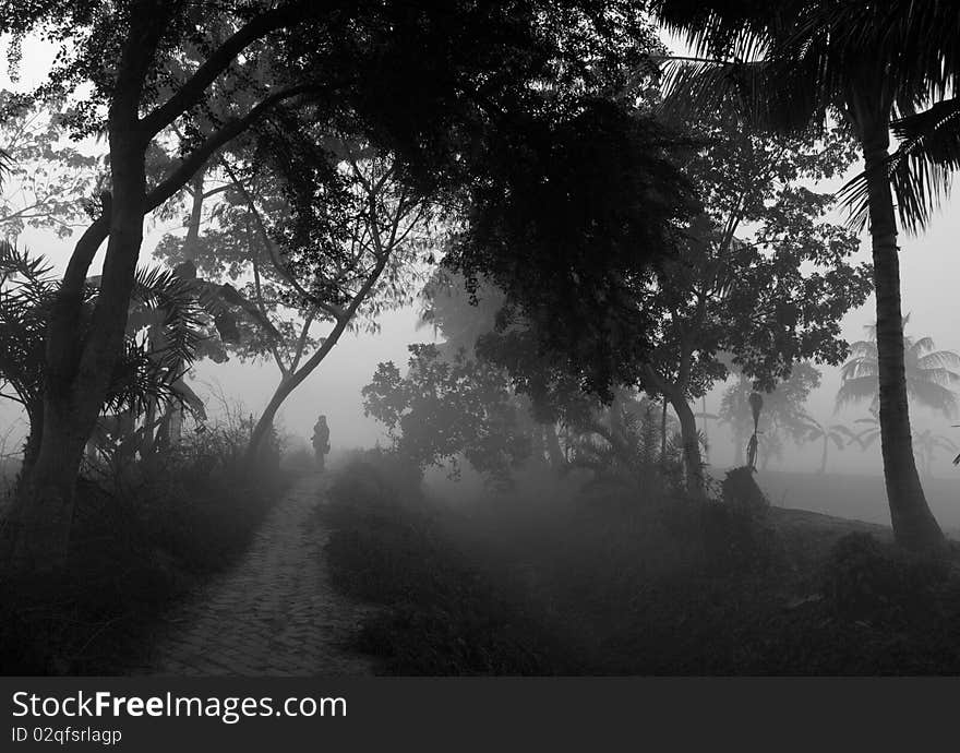 Landscapem in foggy morning in a urban village. Landscapem in foggy morning in a urban village