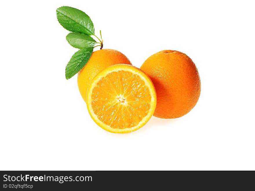 Group Of Oranges