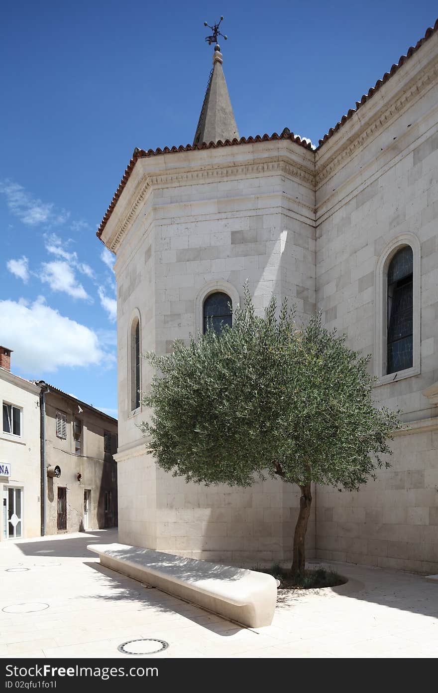 Modern Stone Bench With Olive Tree