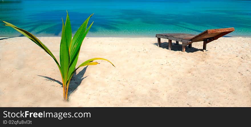 Chair and small plant on luxury beach. Chair and small plant on luxury beach