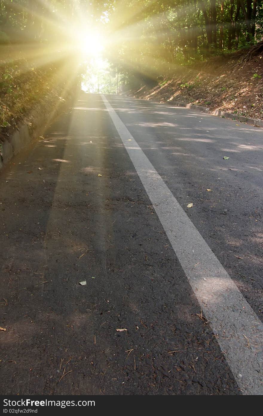 Road  asphalted  firm   covering  in beams of a bright sunlighte