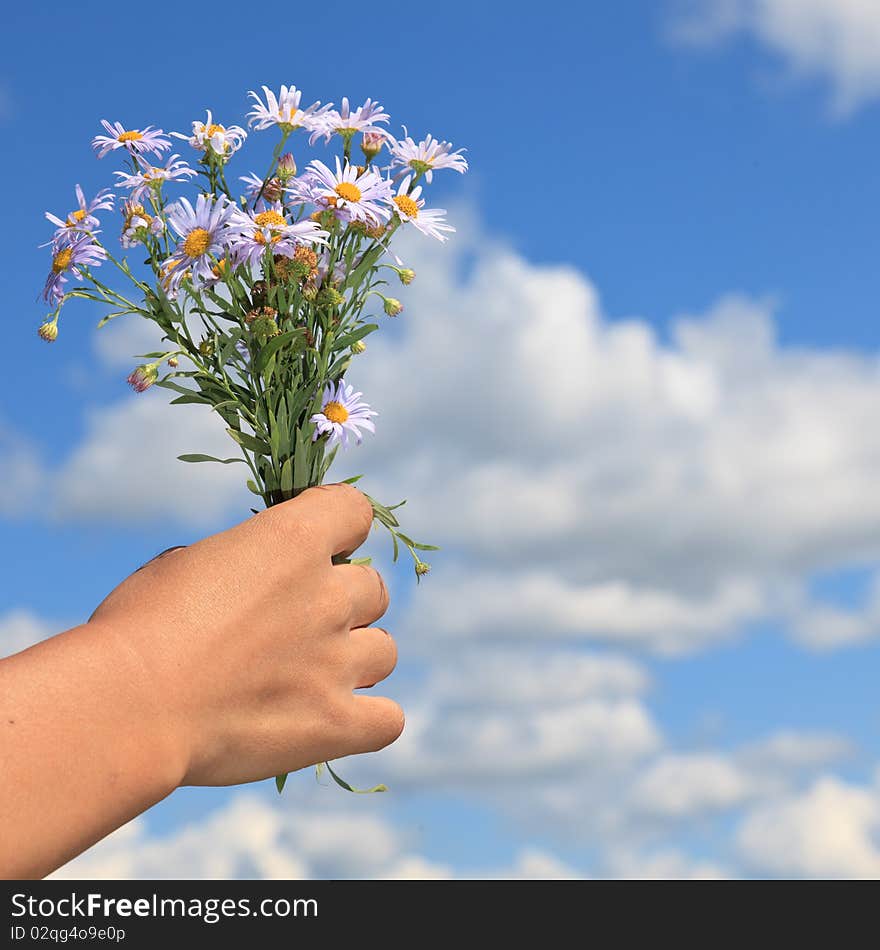 The girl in the meadow outdoor