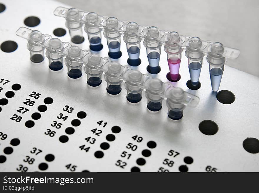 Laboratory test tubes with colored liquid in the metal rack. Rack with places for tubes with different diameters and numberings. Close-up. Laboratory test tubes with colored liquid in the metal rack. Rack with places for tubes with different diameters and numberings. Close-up.