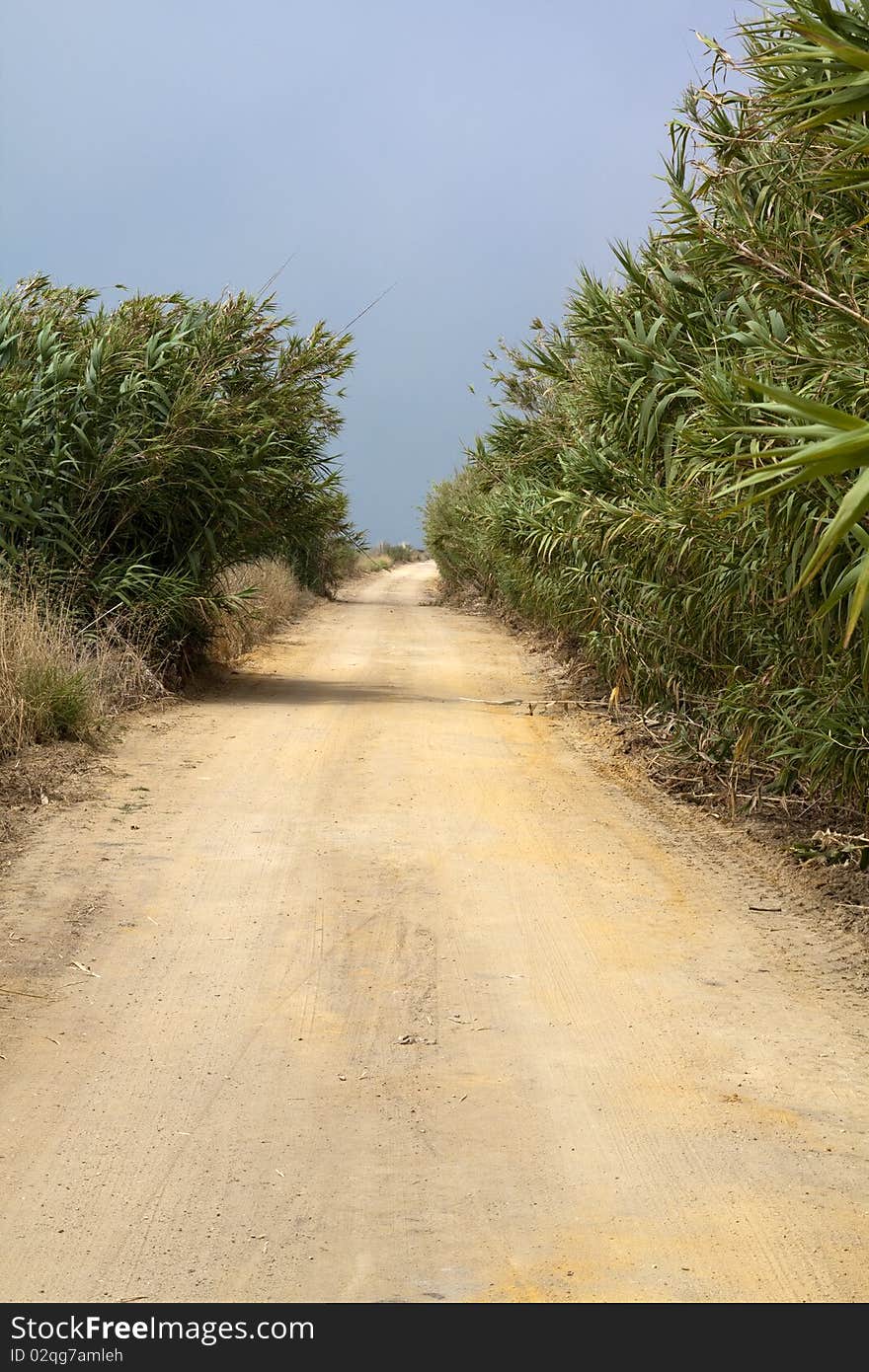 A dirt track cuts through a field. Portugal, Comporta. A dirt track cuts through a field. Portugal, Comporta.