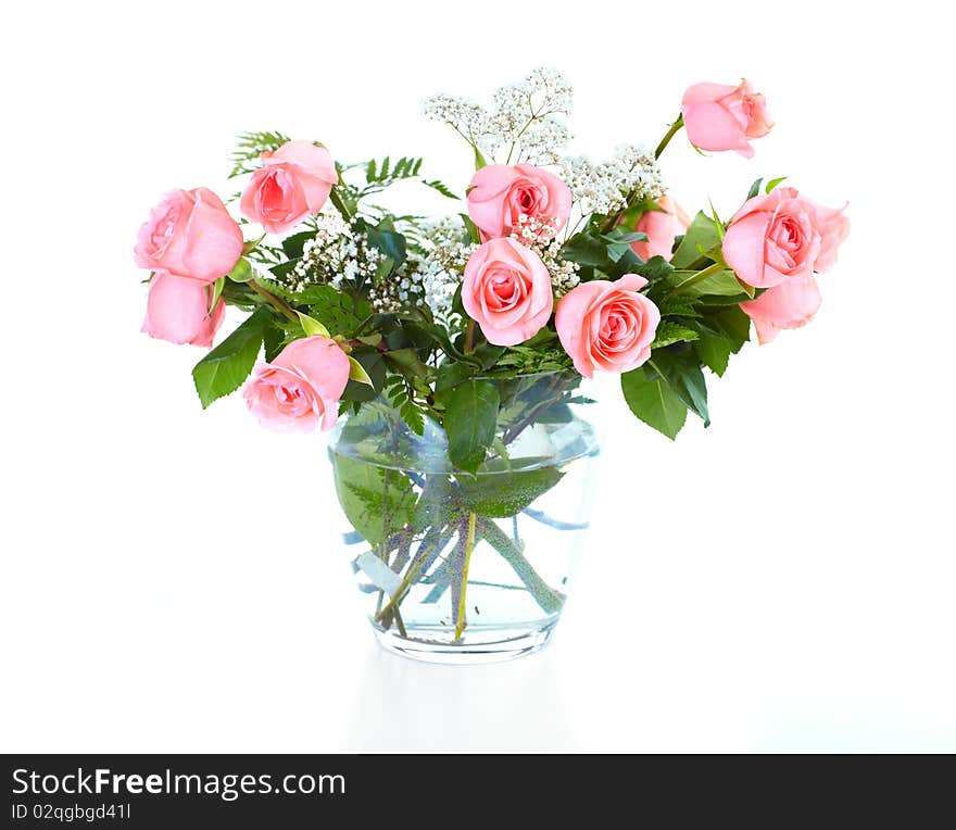 Rose flower. Over white background