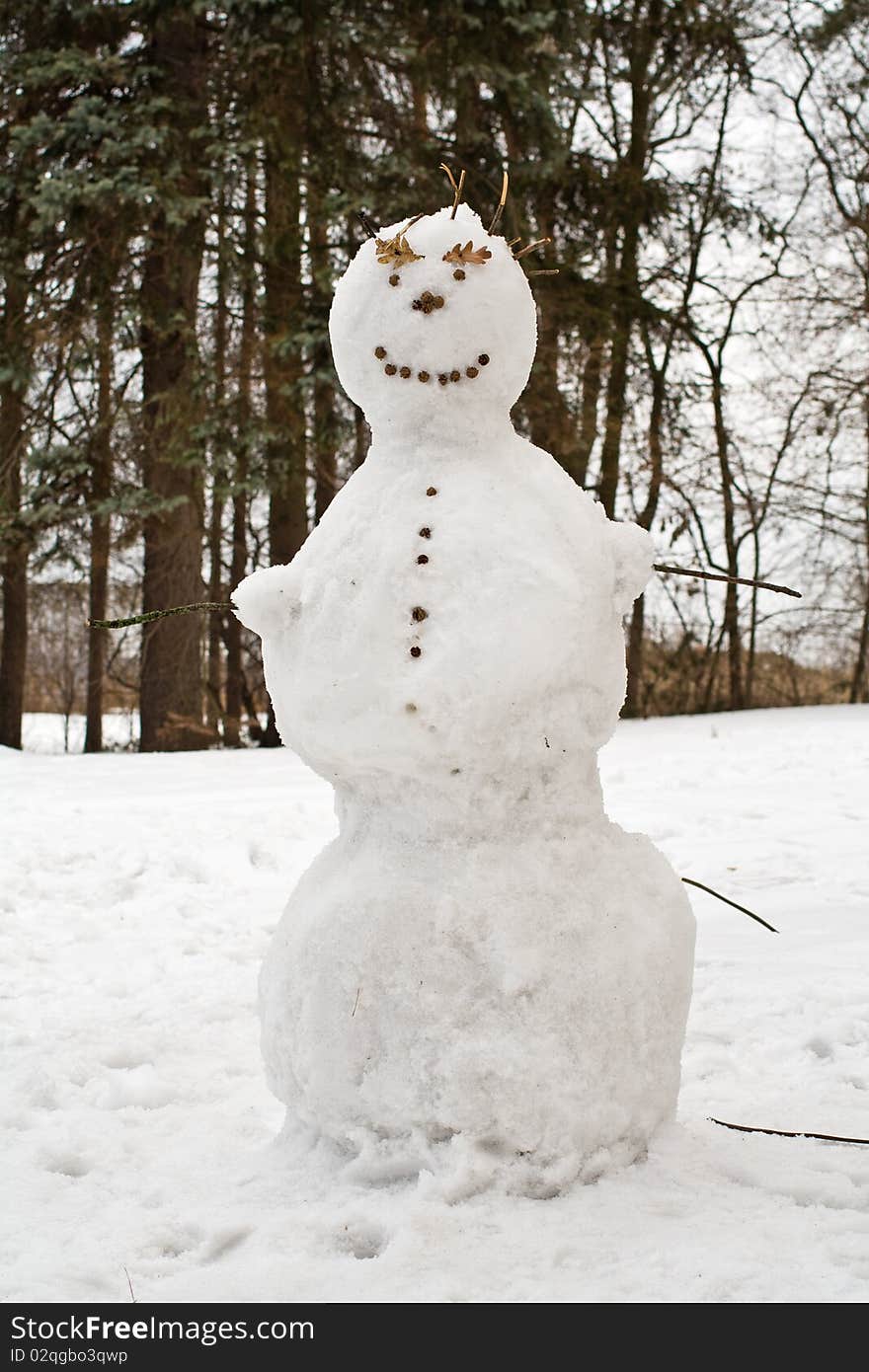 Snowman on snow covered field in park