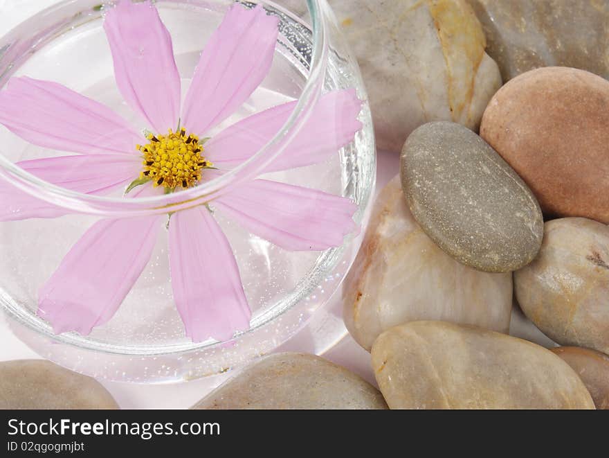 Flower and stones