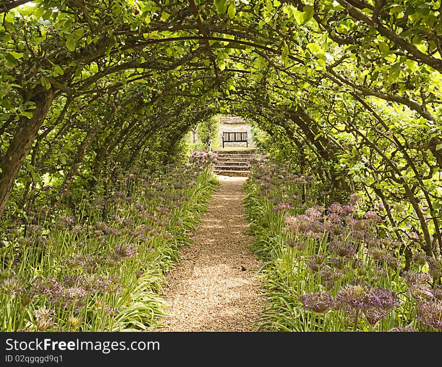 Pathway to bench beneath leafy arch