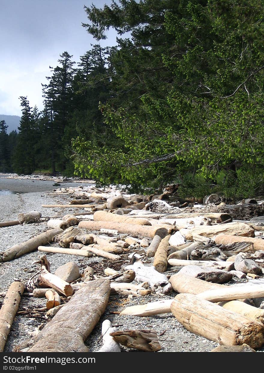 West coast shoreline near forest path. West coast shoreline near forest path