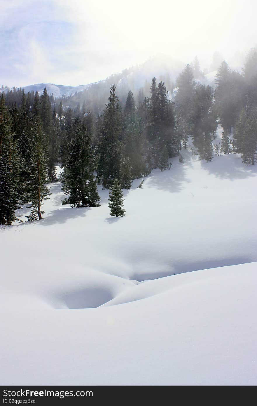 A blanket of new snow in the tahoe backcountry. A blanket of new snow in the tahoe backcountry