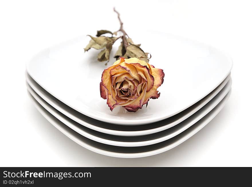 Single dry rose on a plate