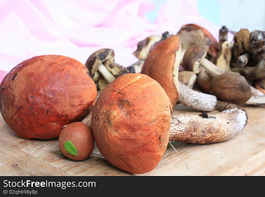 Mushrooms collected in the forest